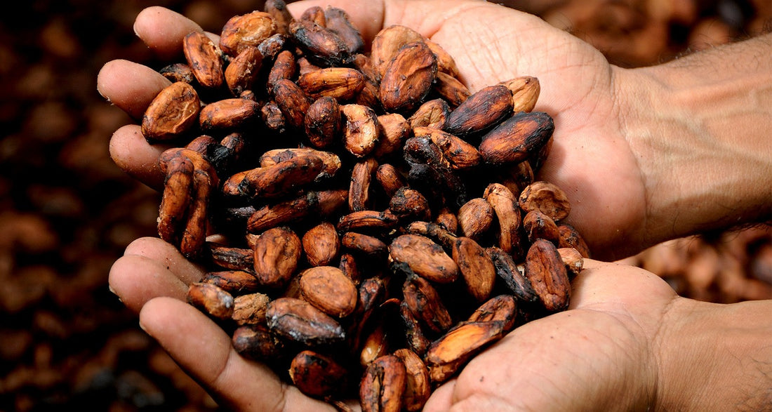 Est-ce bon de boire du chocolat chaud ?